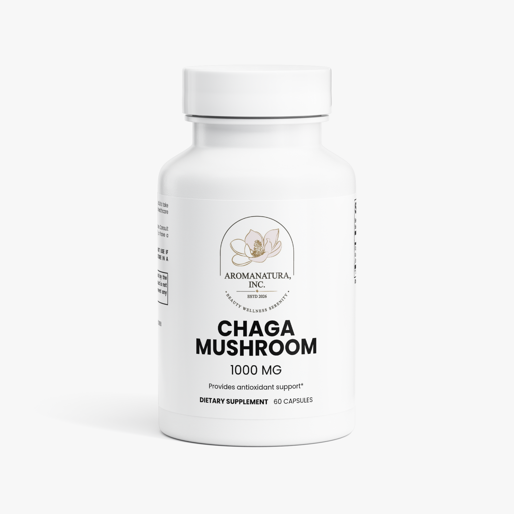 Chaga Mushroom