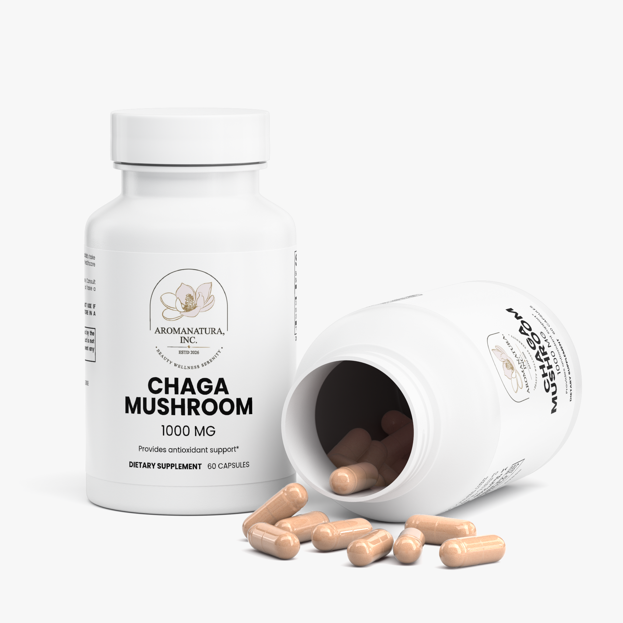 Chaga Mushroom