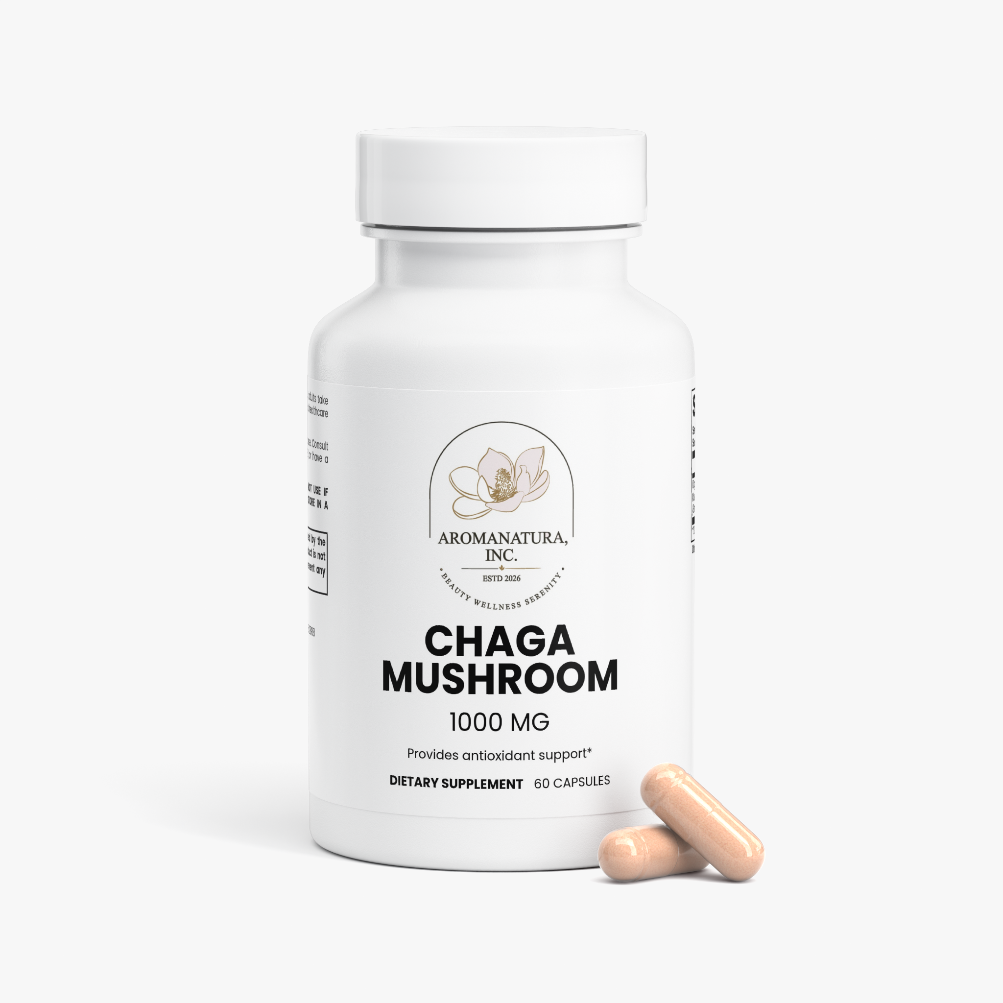 Chaga Mushroom